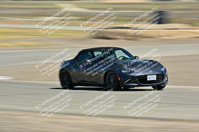 media/May-24-2025-Turn8 Trackdays (Sat) [[034586b55d]]/4 Inter 2/Session 2 (Cotton Corners-Grapevine)/